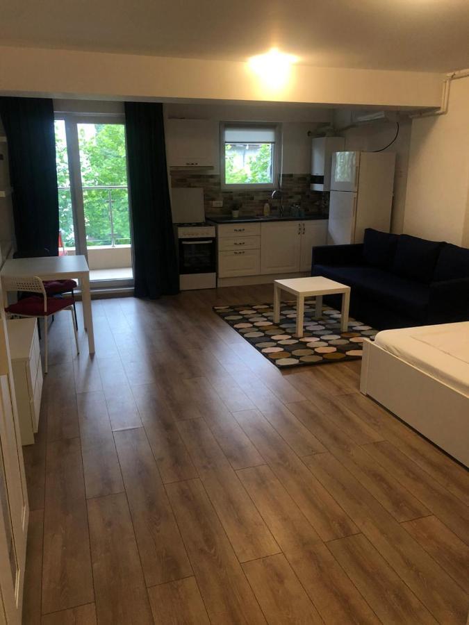 Ferienwohnung Beside Airport Otopeni Exterior foto